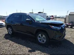 JTMLWRFVXPD195790 2023 TOYOTA RAV 4
