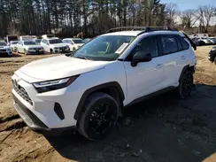 JTMLWRFVXPD196941 2023 TOYOTA RAV 4