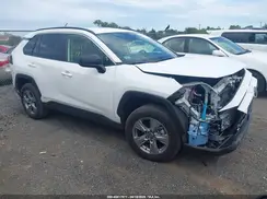 JTMLWRFVXSD310736 2025 TOYOTA RAV 4
