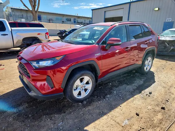 JTMM6RFV0LD006417 2020 TOYOTA RAV 4 - Image 1