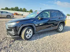 JTMM6RFV2LD001459 2020 TOYOTA RAV 4