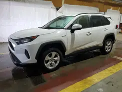 JTMM6RFV2LD003499 2020 TOYOTA RAV 4