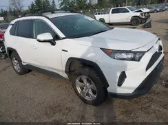 JTMM6RFV4LD004847 2020 TOYOTA RAV 4