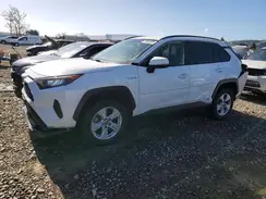 JTMM6RFV6LD003389 2020 TOYOTA RAV 4