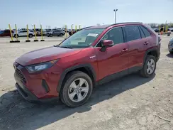 JTMM6RFV6MD509421 2021 TOYOTA RAV 4