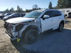 JTMMWRFV0RD209106 2024 TOYOTA RAV 4