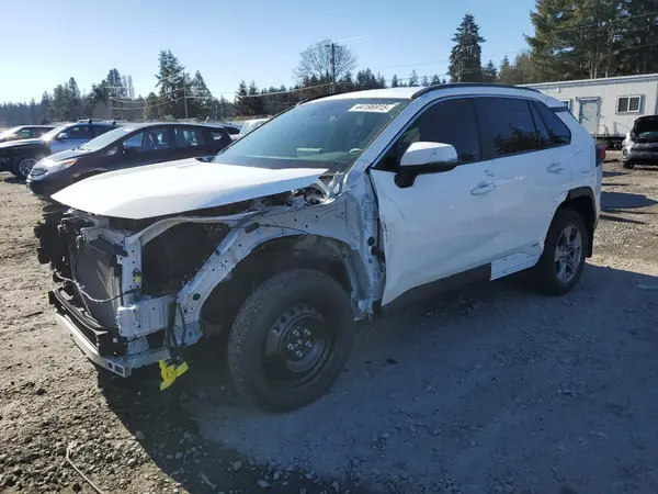 JTMMWRFV0RD209106 2024 TOYOTA RAV 4 - Image 1