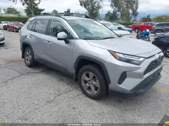 JTMMWRFV0RD250738 2024 TOYOTA RAV 4