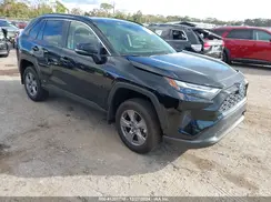JTMMWRFV0RD255101 2024 TOYOTA RAV 4