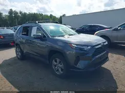 JTMMWRFV0SD281347 2025 TOYOTA RAV 4