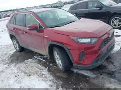 JTMMWRFV1KD011706 2019 TOYOTA RAV 4