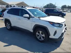 JTMMWRFV1KD026951 2019 TOYOTA RAV 4