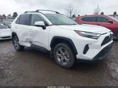 JTMMWRFV1PD206227 2023 TOYOTA RAV 4