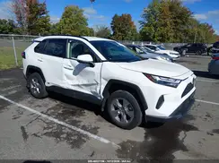 JTMMWRFV1RD216629 2024 TOYOTA RAV 4