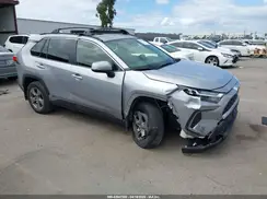 JTMMWRFV1RD230191 2024 TOYOTA RAV 4