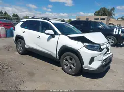 JTMMWRFV1RD265068 2024 TOYOTA RAV 4