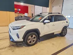 JTMMWRFV1SD325209 2025 TOYOTA RAV 4