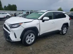 JTMMWRFV2KD023945 2019 TOYOTA RAV 4