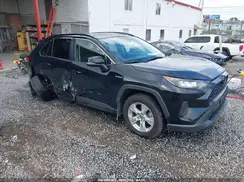 JTMMWRFV2KD025999 2019 TOYOTA RAV 4