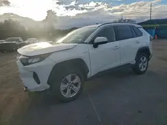 JTMMWRFV2LD044554 2020 TOYOTA RAV 4