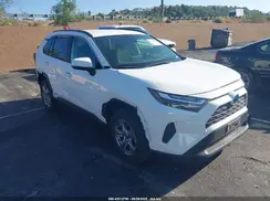 JTMMWRFV2PD199501 2023 TOYOTA RAV 4