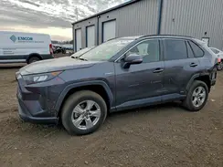 JTMMWRFV3KD014400 2019 TOYOTA RAV 4