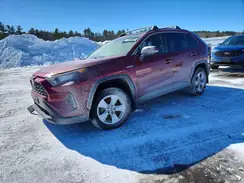 JTMMWRFV3KD029186 2019 TOYOTA RAV 4