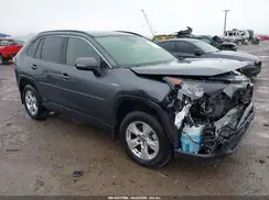 JTMMWRFV3KD501919 2019 TOYOTA RAV 4