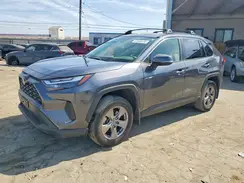JTMMWRFV3RD243296 2024 TOYOTA RAV 4