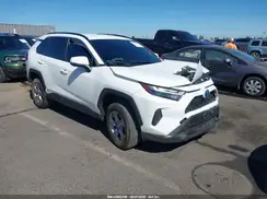 JTMMWRFV3RD265914 2024 TOYOTA RAV 4