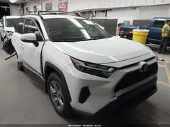 JTMMWRFV3SD316866 2025 TOYOTA RAV 4