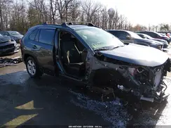JTMMWRFV4LD047343 2020 TOYOTA RAV 4