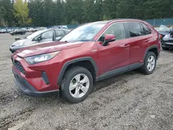 JTMMWRFV4LD055507 2020 TOYOTA RAV 4