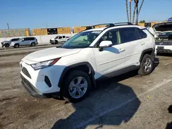JTMMWRFV4RD258809 2024 TOYOTA RAV 4