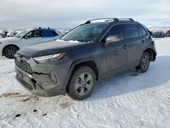 JTMMWRFV4RD259376 2024 TOYOTA RAV 4