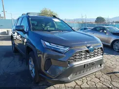 JTMMWRFV4RD264657 2024 TOYOTA RAV 4