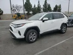 JTMMWRFV4RD265324 2024 TOYOTA RAV 4