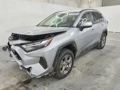 JTMMWRFV4SD318996 2025 TOYOTA RAV 4