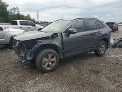 JTMMWRFV5RD240819 2024 TOYOTA RAV 4