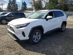 JTMMWRFV5RD255482 2024 TOYOTA RAV 4