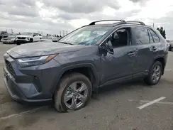 JTMMWRFV5SD309630 2025 TOYOTA RAV 4