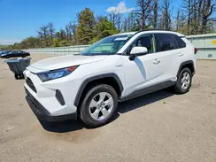 JTMMWRFV6KD016772 2019 TOYOTA RAV 4