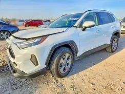 JTMMWRFV6PD173211 2023 TOYOTA RAV 4
