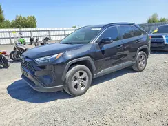 JTMMWRFV6RD216092 2024 TOYOTA RAV 4