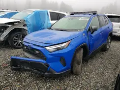JTMMWRFV6RD257726 2024 TOYOTA RAV 4