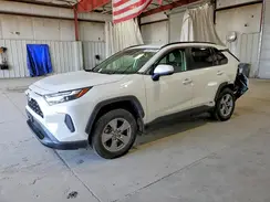 JTMMWRFV6RD266619 2024 TOYOTA RAV 4