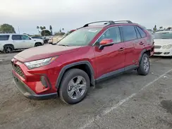 JTMMWRFV6SD281059 2025 TOYOTA RAV 4