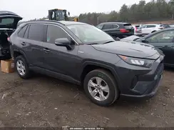 JTMMWRFV7KD519016 2019 TOYOTA RAV 4