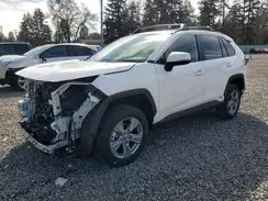 JTMMWRFV7RD247965 2024 TOYOTA RAV 4
