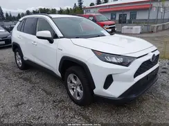 JTMMWRFV8KD022685 2019 TOYOTA RAV 4